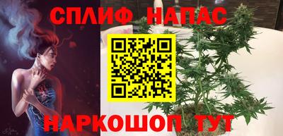 индика Пугачёв